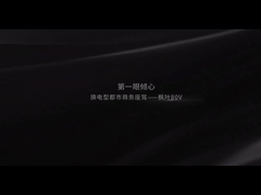 Geely Maple Leaf 80V