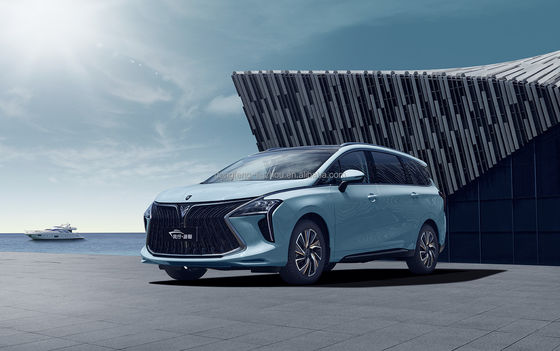 Pentium Nat 5 Seat High Performance Electric Cars 140km/h White Black Color