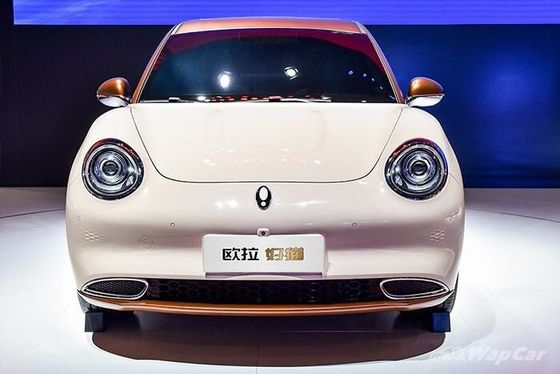 150km/h ECO Friendly Electric Vehicles 400KM ORA Good Cat Pure Electric Cars