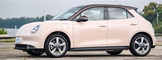 150km/h ECO Friendly Electric Vehicles 400KM ORA Good Cat Pure Electric Cars