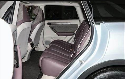 Automotive High Speed Electric Vehicles SUV New Energy Lingpao C11 For Adults