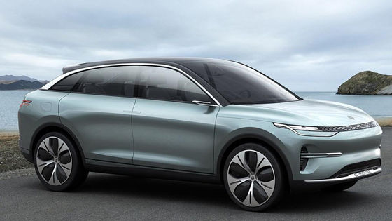 Automotive High Speed Electric Vehicles SUV New Energy Lingpao C11 For Adults