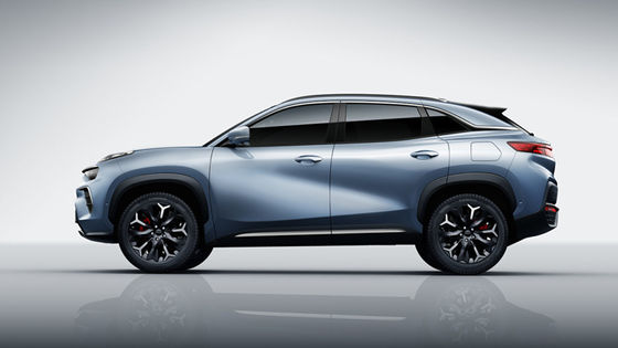 Chery QQ Ant Mini SUV Electric Car 301Km Pure EV High Speed 100km/h