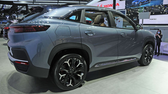 Chery QQ Ant Mini SUV Electric Car 301Km Pure EV High Speed 100km/h