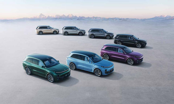 42.8kWh Battery 6 Seat Electric SUV