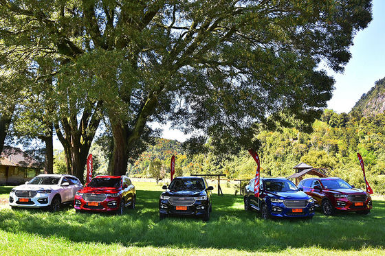 110km 4 Wheel Drive Electric Cars GWM Haval H6 DHT PHEV Plug In Hybrid Vehicles