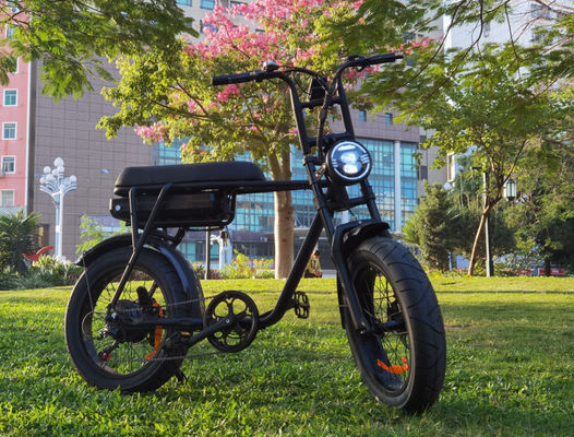 EB2 20" X 4.0 Fat Tire Electric Bike With 200KGS Max Loading