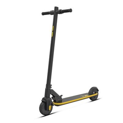 Aluminum Iron H2 Commercial Electric Scooter 20 or 25km/h