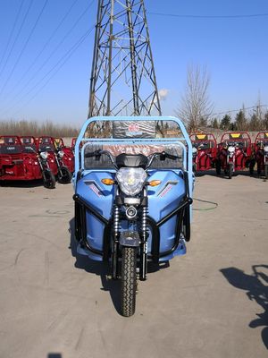 Electric Tricycle Truck A 72 Volt, 1500 Watt Electric Trike