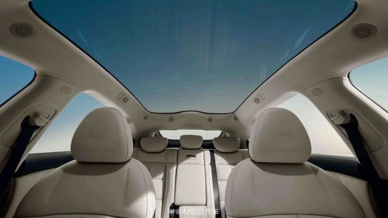 Zhiji LS6 Maximum Power Of 575kw All Electric Autos With Top Speed Of 252kmh Electric Sports Vehicle