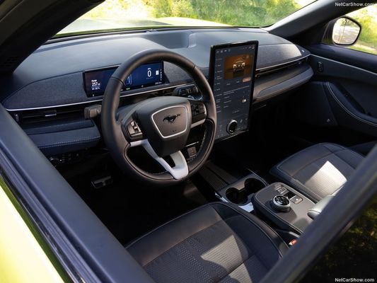 Unique Rally Suspension, Family Car Out Racing Feeling At Ford Mustang Mach-E Rally (2024) 480Horsepower