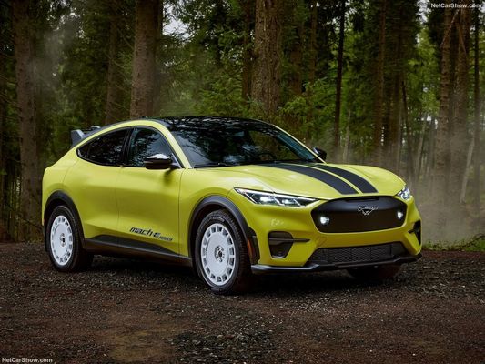 Unique Rally Suspension, Family Car Out Racing Feeling At Ford Mustang Mach-E Rally (2024) 480Horsepower