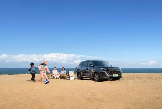 Newest PHEV SERES High Performance Medium Sized 7 Seat Plug In Hybrid SUV SERES LANDIAN E5