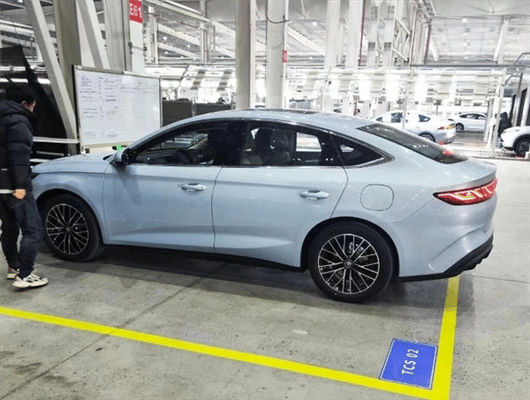 Presale 2024 BYD Qinn L DM-i 80km Electric Vehicle Landed Soon Hybrid Car 1.5T 101ps L4 New Engergy Car