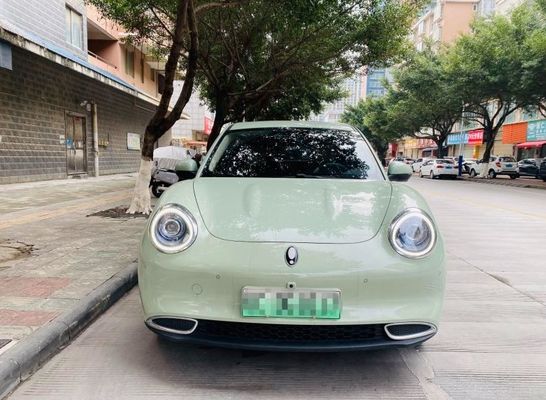Long Range 4 Wheel Drive Electric SUV ORA Good Cat 150km/h For Adults