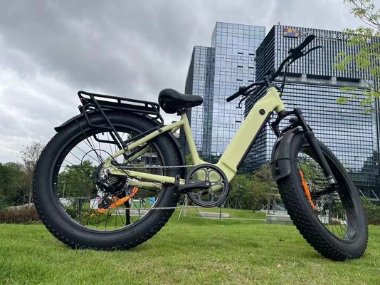 EB11 26"X4.0 Step Through Fat Tire Electric Bike 250/750/1000w