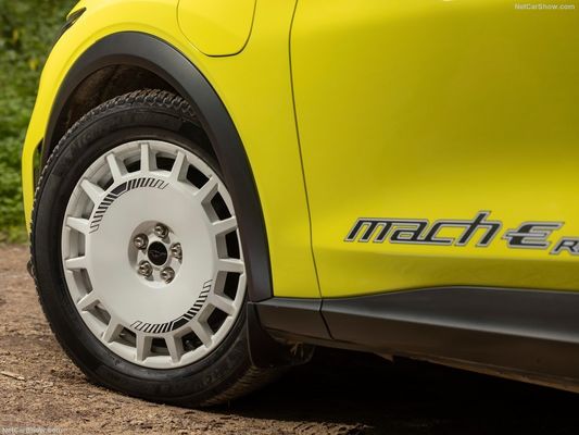 Unique Rally Suspension, Family Car Out Racing Feeling At Ford Mustang Mach-E Rally (2024) 480Horsepower