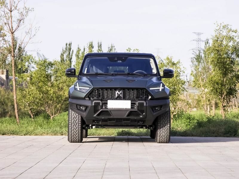 Chinese Suv Dongfeng Brave Warrior 917 Large Space Pure Electric Car